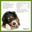 6 sticks Whimzees Snacks Dentários Chifres para cães grandes, , large Indicador imagem número 3